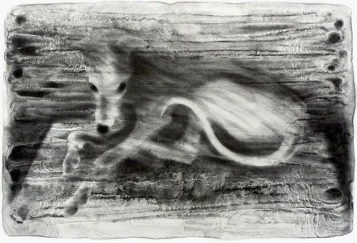 Whippet