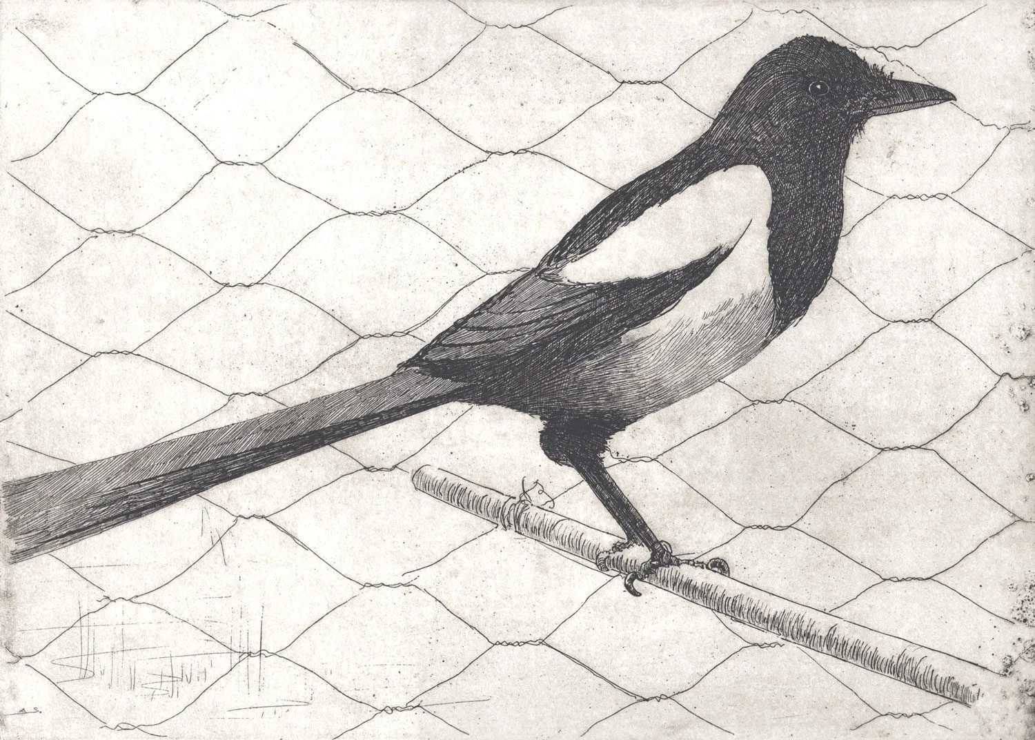 Sir-Arthur-Streeton-Magpie