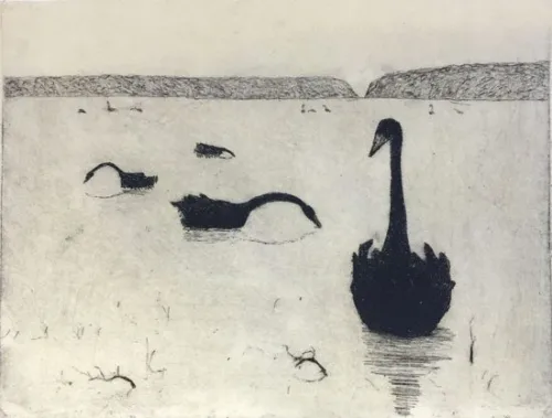 Philip-Davey-Swans Ed8