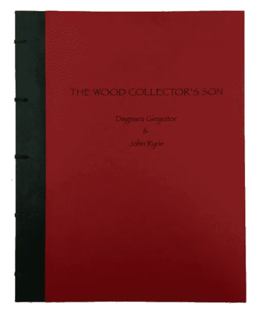 John-Ryrie-the-wood-collector's-son-cover