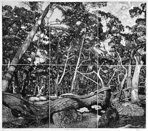 David Frazer The tangled wood (composition ll) 2018 etching 80 x 90cm $2,750 UF $,3350 F