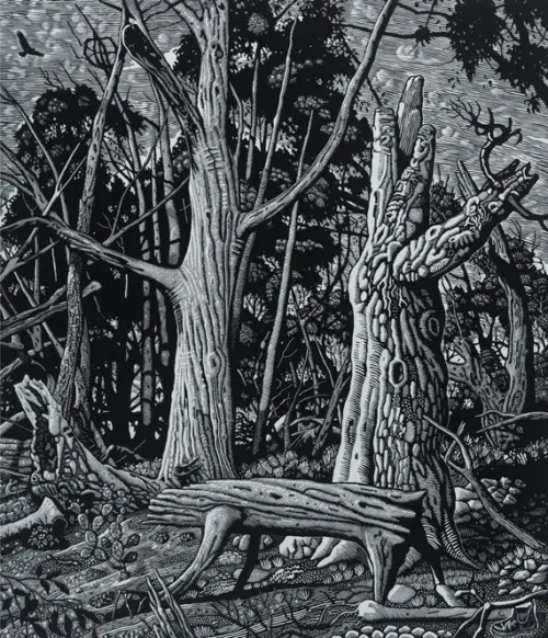 David-Frazer-Wounded-Wood-II