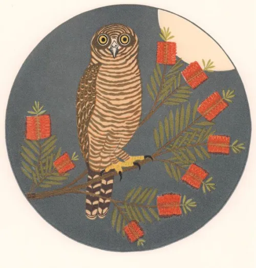 Kate-Hudson-Rufous-Owl-&-Callistemon