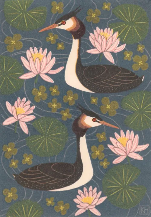 Kate-Hudson-Great-Crested-Grebes