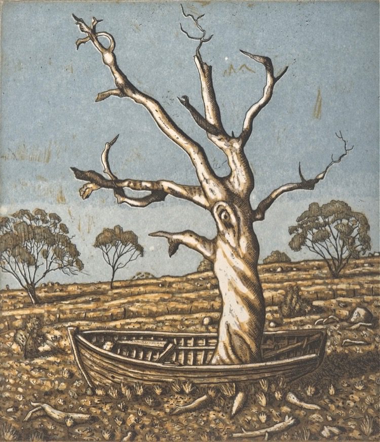 David Frazer Rooted 20 x 18cm etching aquatint $500 UF $750 F