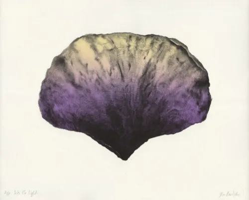 Jim Pavlidis Into the Light