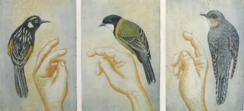 Kati Thamo Sign Language with Birds_web