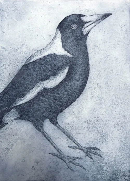 Kati Thamo Magpie Blues 1