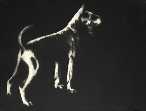 Deborah Williams dishlicker 59x78