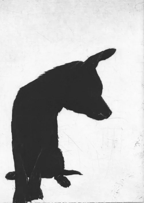 Deborah Williams Follow_my_observation2017