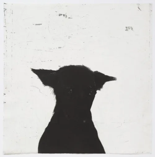 Deborah Williams The_dog_itself