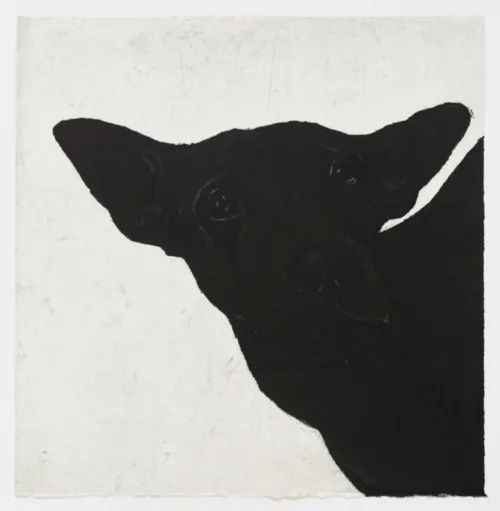 Deborah Williams Reciprocated_recognition_2018