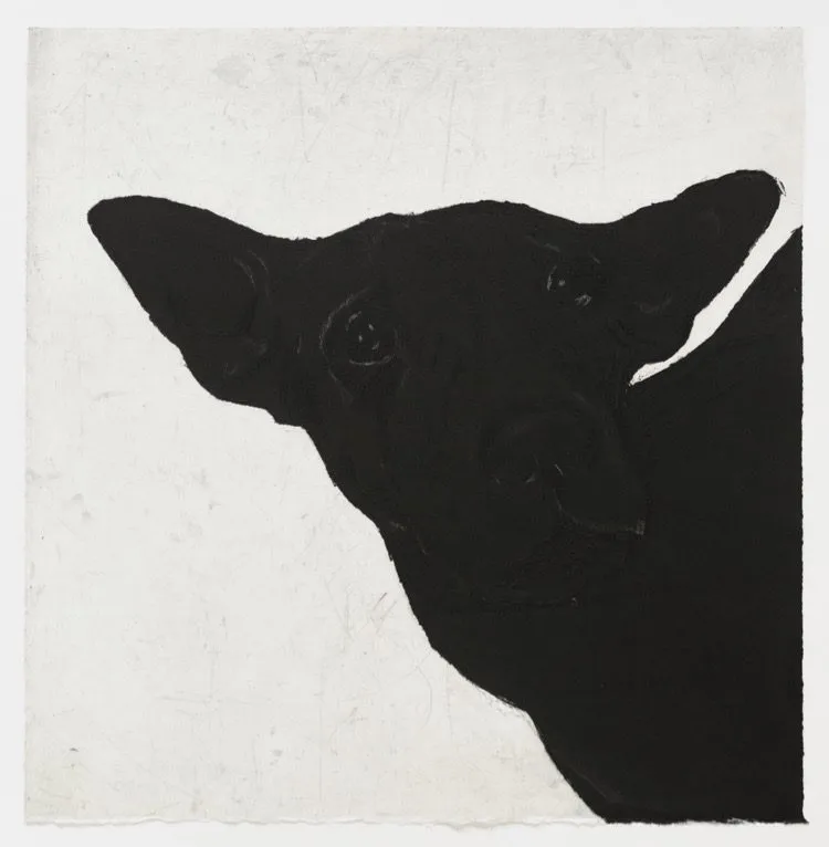 Deborah Williams Reciprocated_recognition_2018 Deborah Williams Reciprocated_recognition_2018