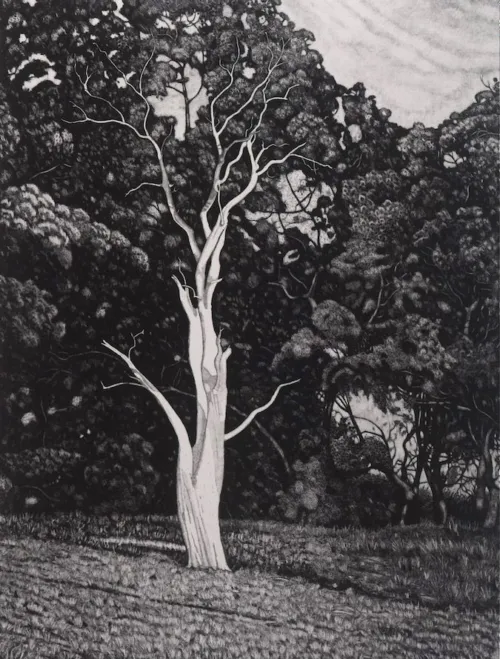David Frazer Apparition 2020 80x60cm etching ed50 $1750 (1)