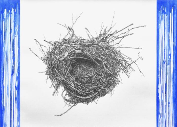 Antonio Balletta Nest 1 - Graphite pencil and gouache on fabriano - 51x71cm -