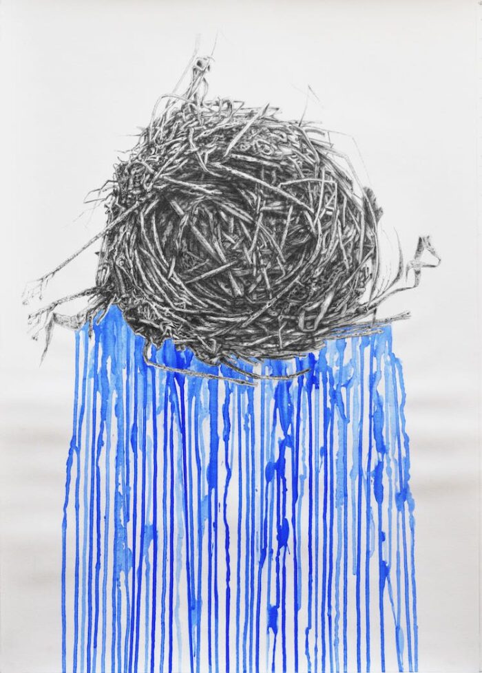 Antonio Balletta Nest 3 - Graphite pencil and gouache on Fabriano - 46cmx66cm -