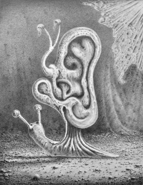 Antonio Balletta Sonic snail - Graphite pencil on Fabriano - 47cmx61cm- (1)