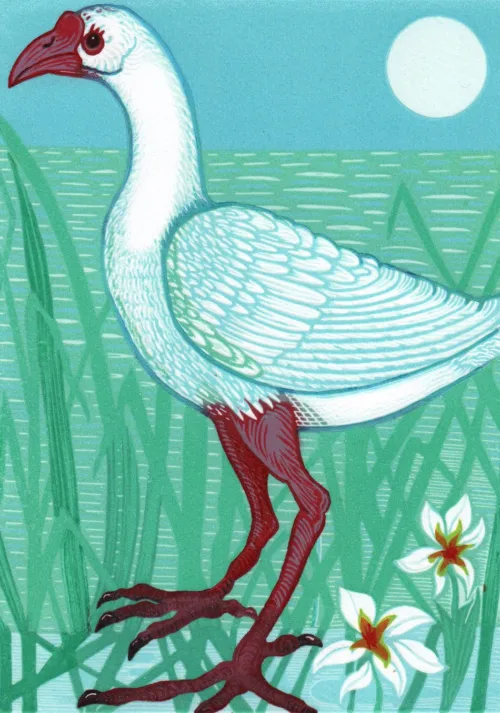 Gwen Scott White Swamphen 2019 reduction linocut 26 x 19cm