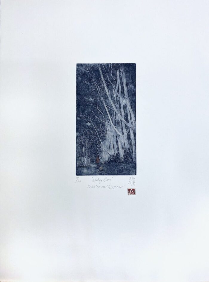 Elmari Steyn Walking Sam- S33°54.841'-E115°1.261', 2019 line etch and stage-bite aquatint image size 30 x 15cm $600