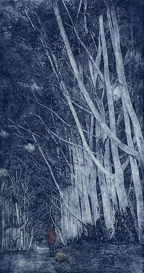 Elmari Steyn Walking Sam- S33°54.841'-E115°1.261', 2019 line etch and stage-bite aquatint image size 30 x 15cm $600