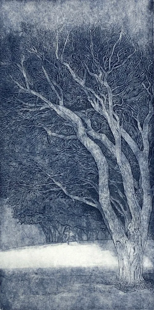 Elmari Steyn Umbra S33°38.347'-E115°01.567', 2017 line etch and stage-bite aquatint image size 30 x 15cm $600