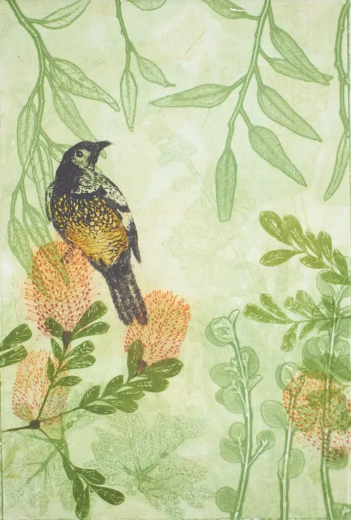 Trudy Rice Regent Honeyeater at a Banksia Feast Multiplate Solar Etchings and Monotype Unique State 2023 $420uf