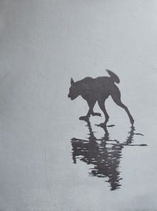 Deborah Williams Free Roamer 2022 aquatint 50.5 x 37.5 cm Edition 15 $1800 F.png