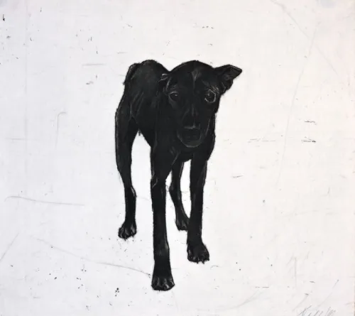 Deborah Williams Am soft ground etching roulette intaglio 26.5 x 28.5cm Ed 20 $920 f