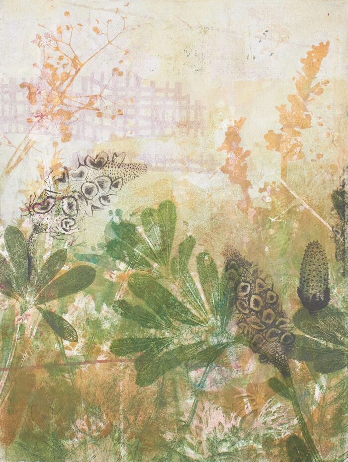 Trudy Rice On my Walk Banksias multiplate solar etchings monotype unique state 38 x 28cm $740 framed