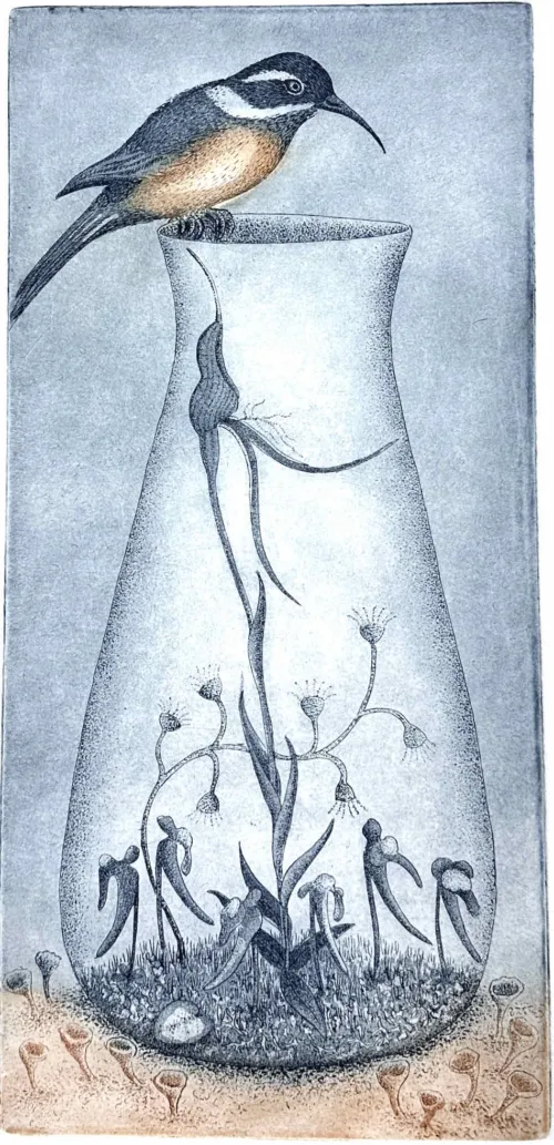 Kati Thamo Still life with Spinebill etching a la poupee 34 x 16cm $460.jpeg