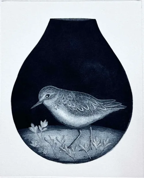 Kati Thamo In the Samphire etching 22.5 x 18cm $420