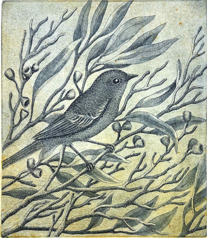 Within the Thicket multi plate etching 23 x 20cm $440