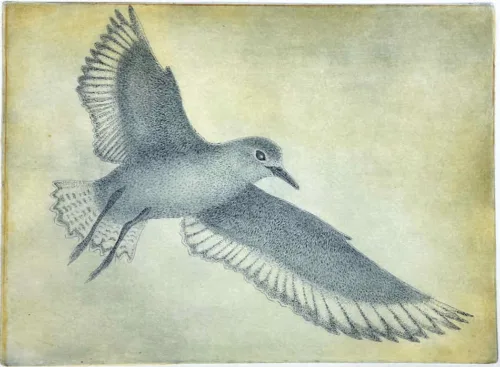 Wingspan multi plateetching 22 x 30cm $480