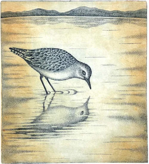 On Reflection multi plate etching 24.5 x 22cm $440
