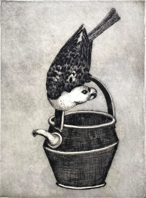Philip Davey George Raper’s King Parrot $500 UF Edition of 10 22x29.5cm