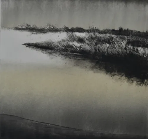 Wetlands VIII monotype 37 x 38 cm $1,200 uf