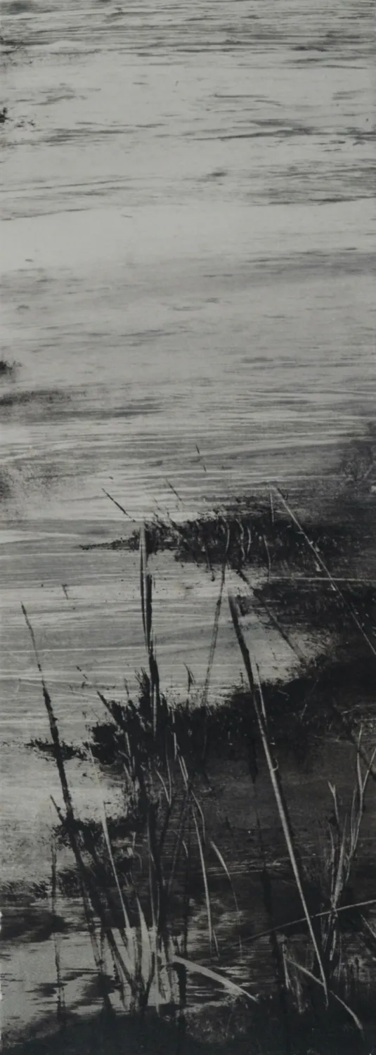 Lake George VI monotype 14 x 38 cm $500 uf