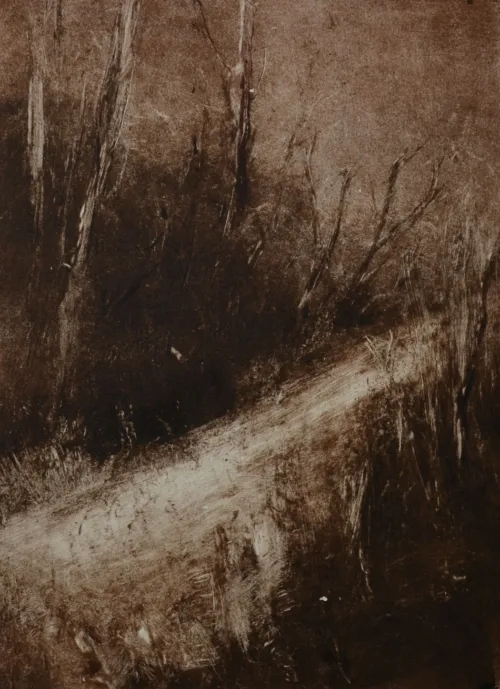 Marketa Kemp Forest Path II 15 x 20 cm $400 uf