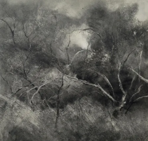 Marketa Kemp Behind 5 Mile monotype 37 x 39cm $1,200 uf