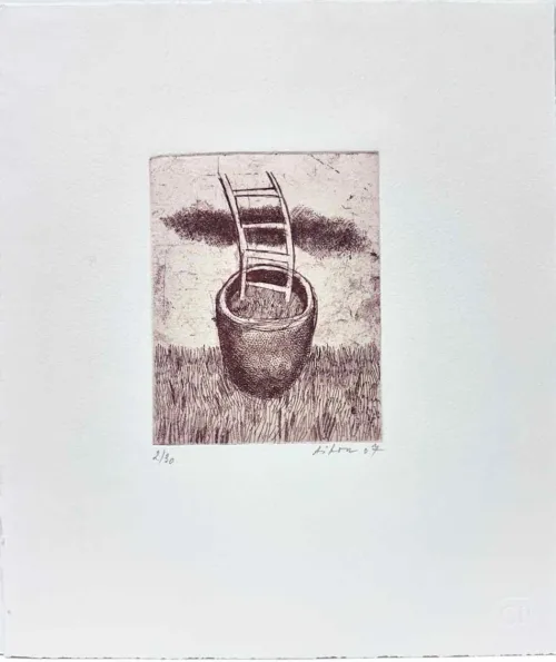 Jiri Tibor Novak ladder plant etching 13.5 x 10.5cm ed 2/30 uf $450