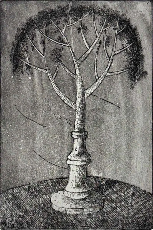 Jiri Tibor Novak Flowering Gum 2012 AP2 etching aquatint 15 x 10cm image $400