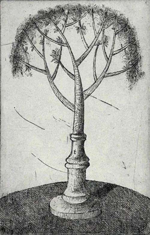 Jiri Tibor Novak Flowering Gum (first state before aquatint) AP etching 15 x 10cm image
