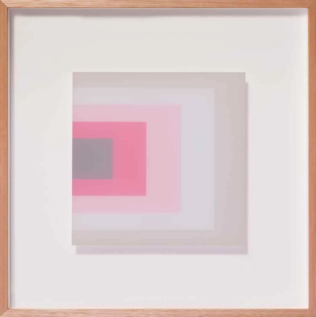 Clayton Tremlett An exploration of the Square using the Colours of a Galah #4 $850 framed Clayton Tremlett An exploration of the Square using the Colours of a Galah #4 $850 framed