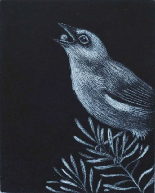 Kati Thamo Another Chance mezzotint 15 x 12 cm 2023 ed. of 22 $350