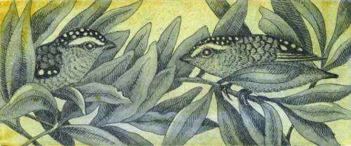 Kati Thamo In the Canopy multiplate etching 8.4 x 20.2 cm 2024ed. of 16 $350