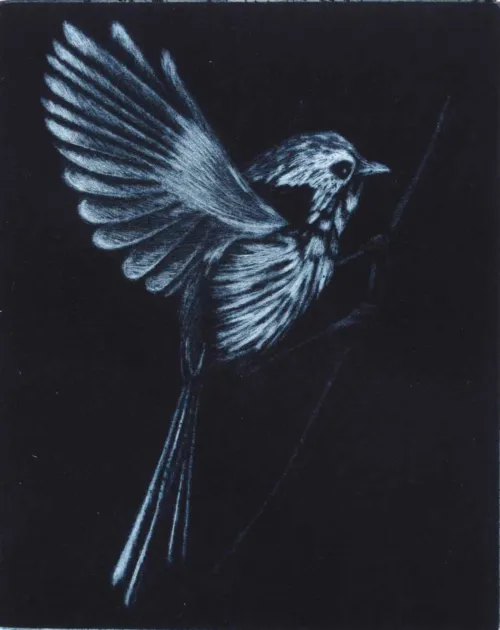 Kati Thamo With Grace mezzotint 15 x 12 cm 2024 ed of 22 $350