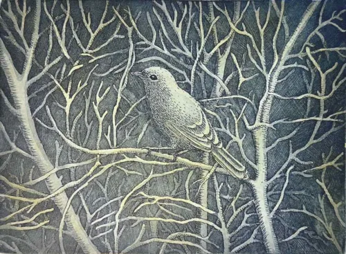 Kati Thamo The Bird on the Branch multiplate etching 16 x 20 cm 2024 ed. of 14 $400