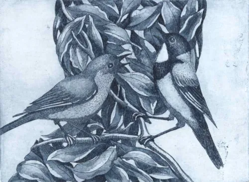 Kati Thamo Sing Me A Song etching 17 x 23.8 cm 2024 ed. of 22 $380