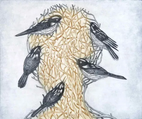 Kati Thamo Chorus etching a la poupee 25 x 30 cm 2024 ed. of 22 $500.jpg