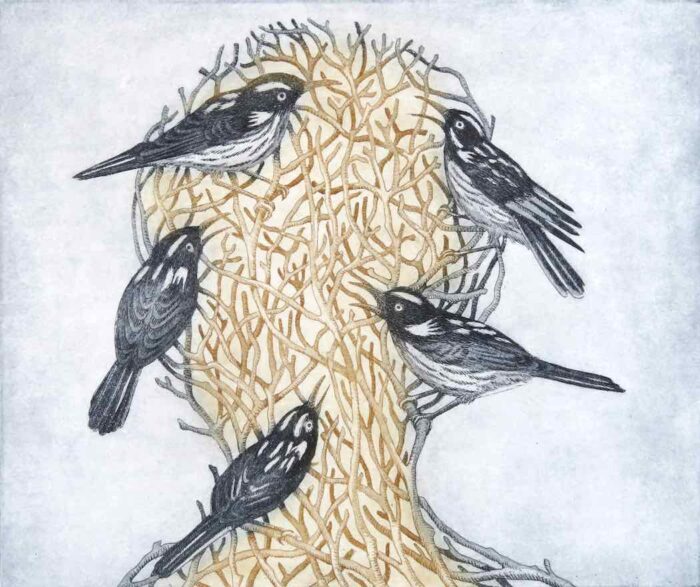 Kati Thamo Chorus etching a la poupee 25 x 30 cm 2024 ed. of 22 $500.jpg